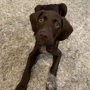 Meet your Posher, Elizabeth